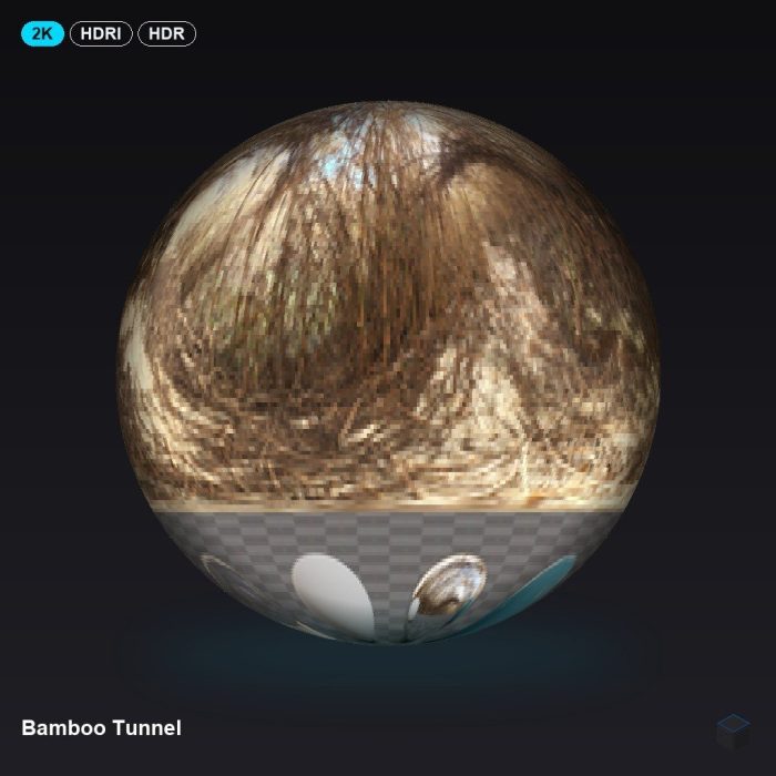 Bamboo Tunnel
