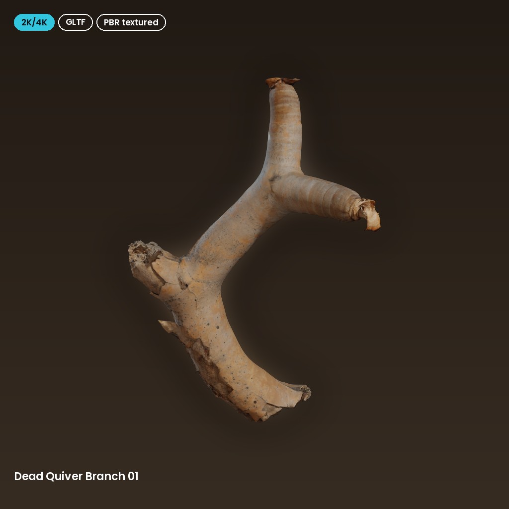 Dead Quiver Branch 01