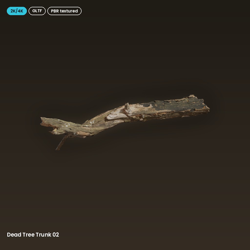 Dead Tree Trunk 02
