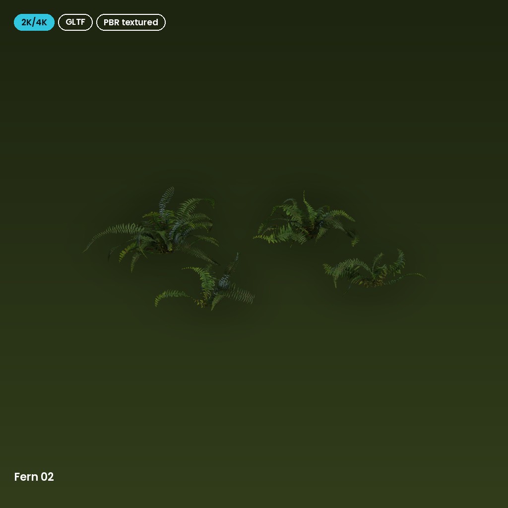 Fern 02