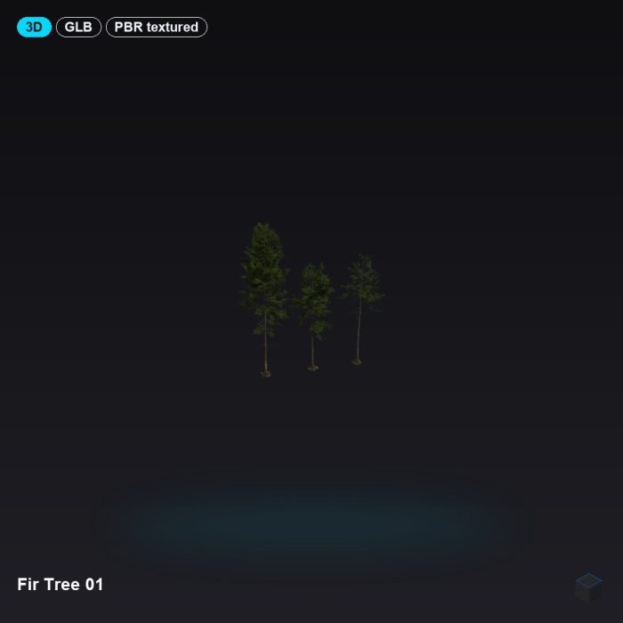 Fir Tree 01