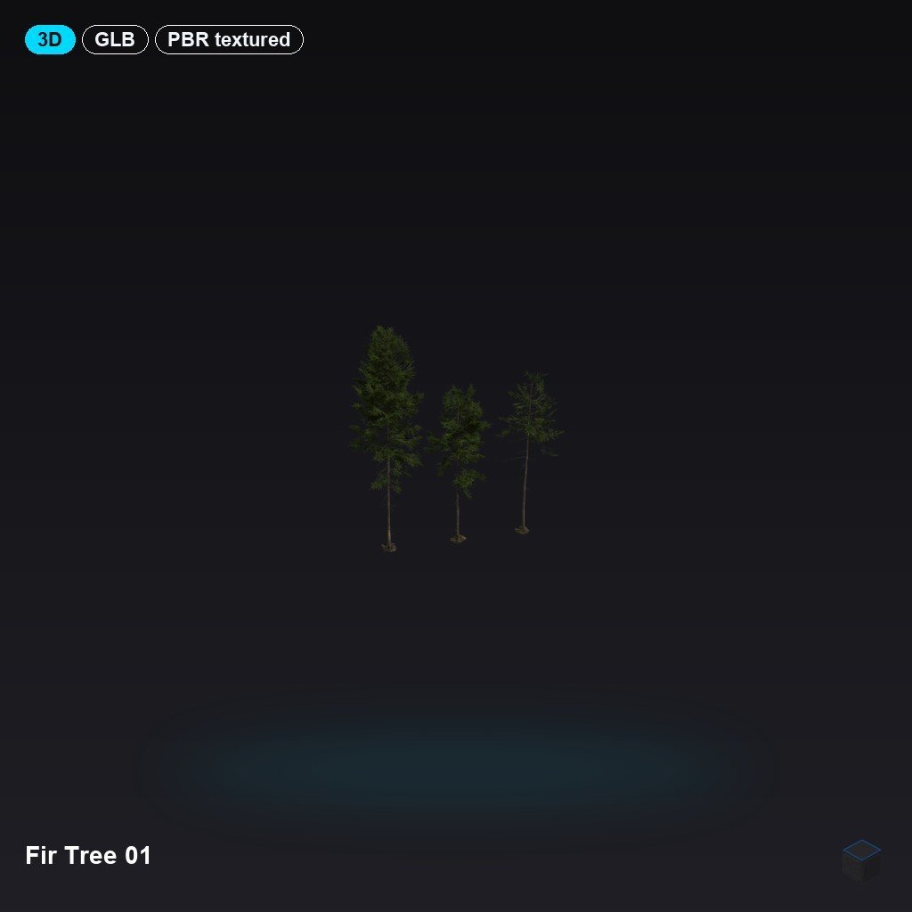 Fir Tree 01