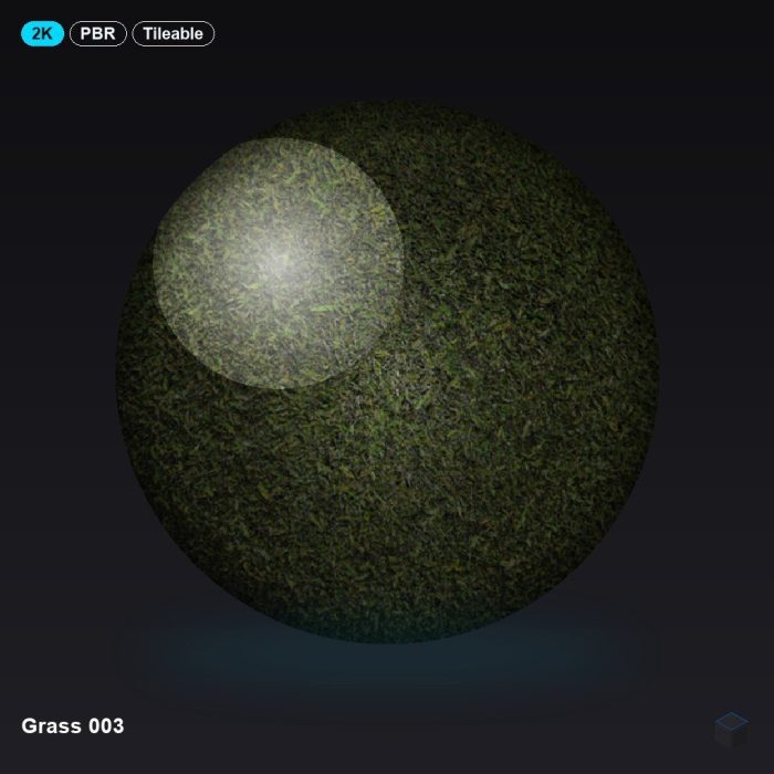 Grass 003