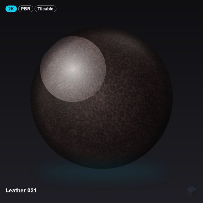 Leather 021