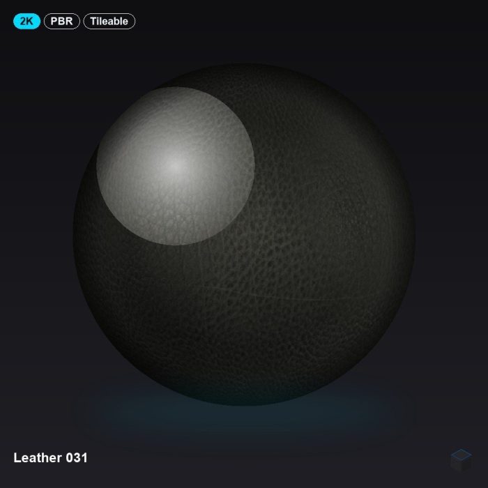 Leather 031