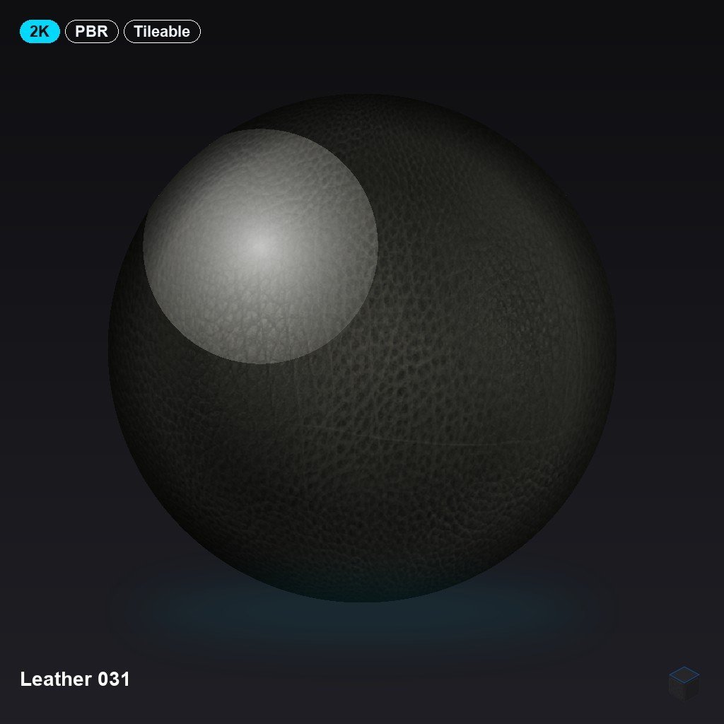 Leather 031