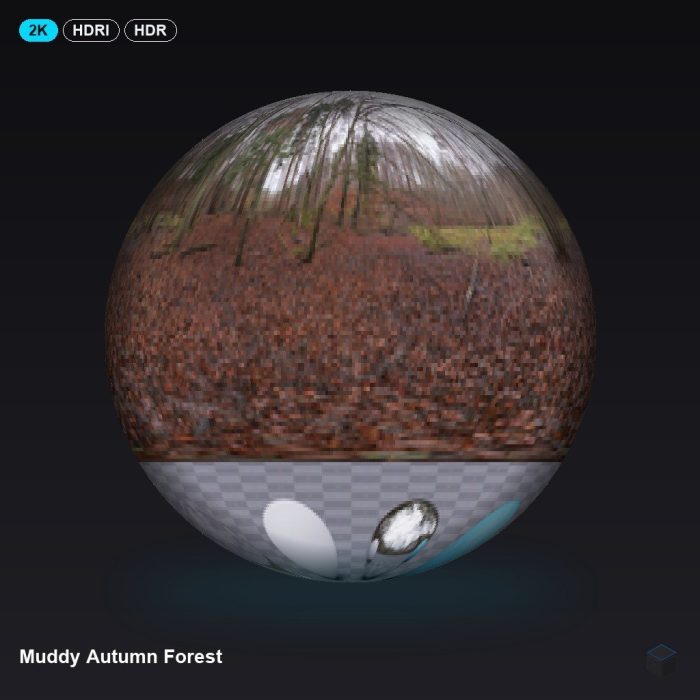 Muddy Autumn Forest
