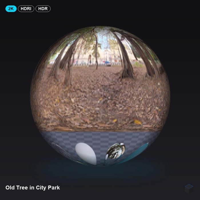 Old Tree in City Park