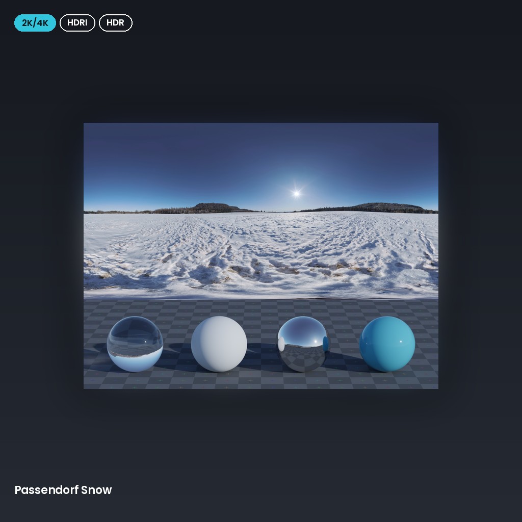 Passendorf Snow