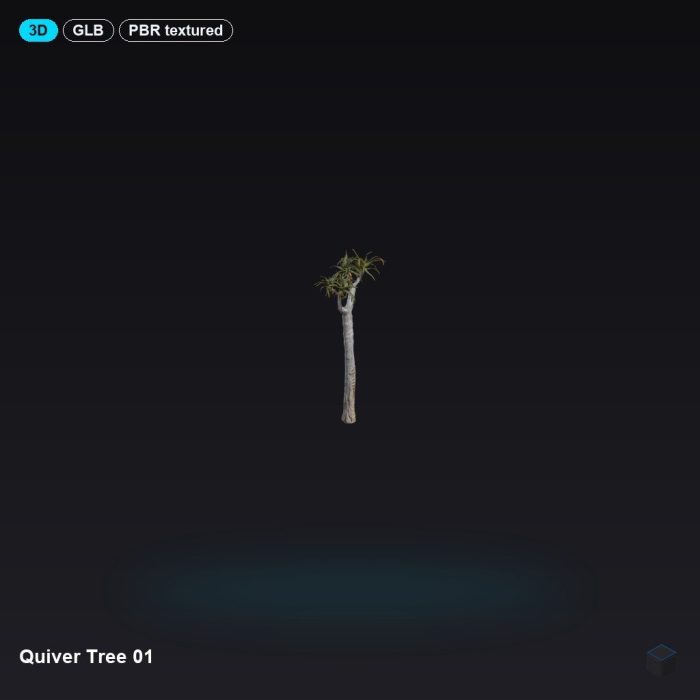 Quiver Tree 01