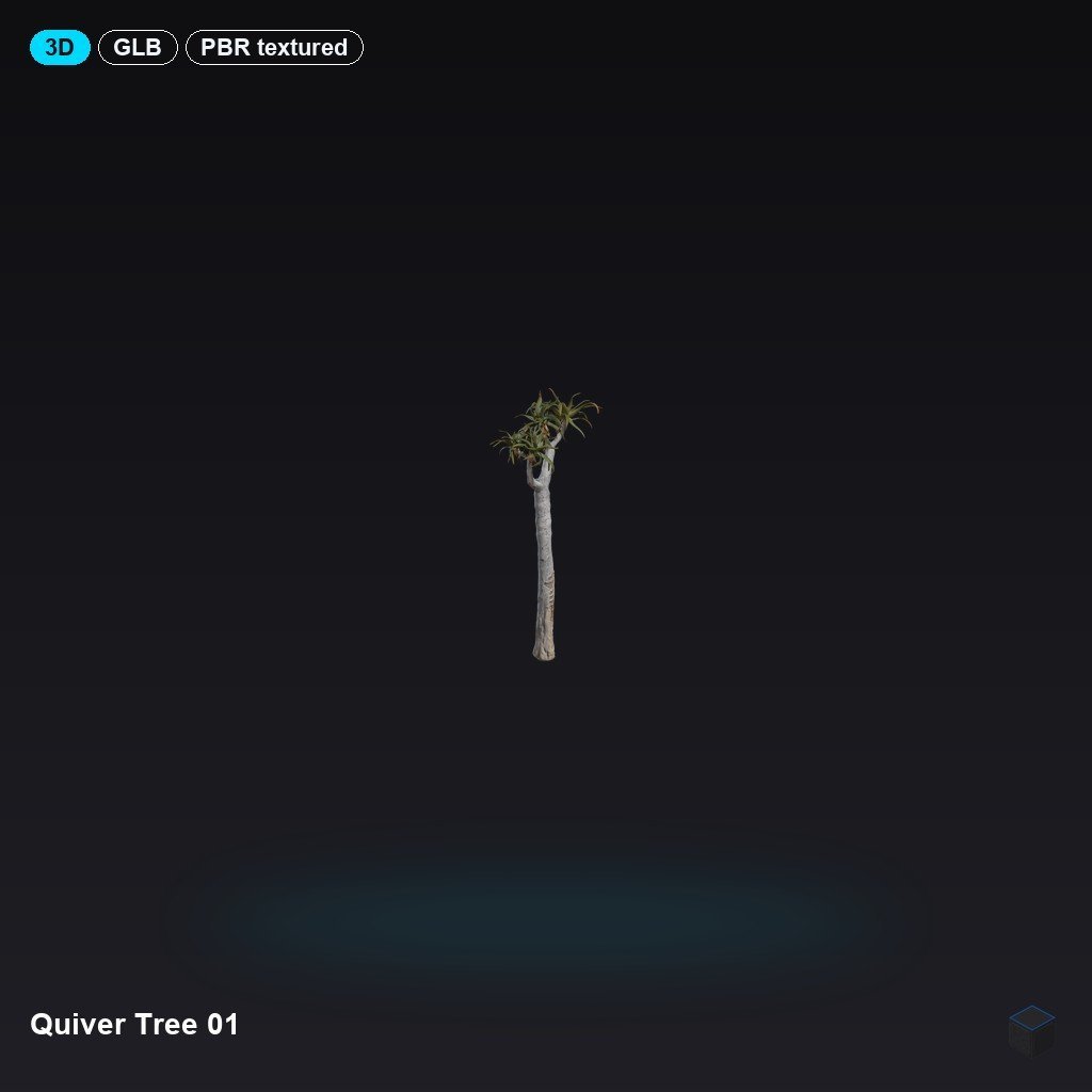 Quiver Tree 01
