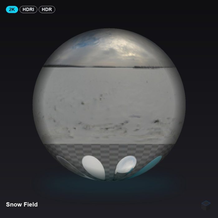 Snow Field