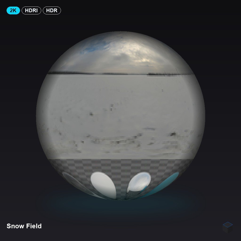 Snow Field