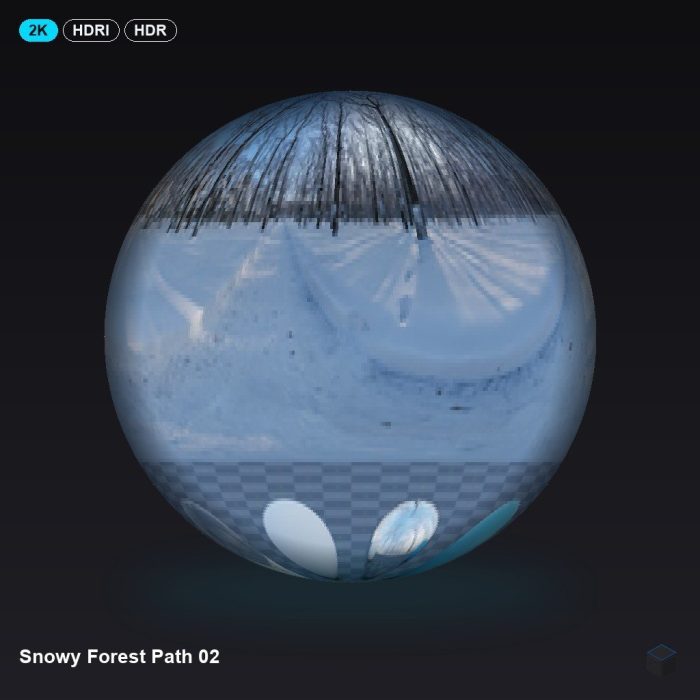 Snowy Forest Path 02