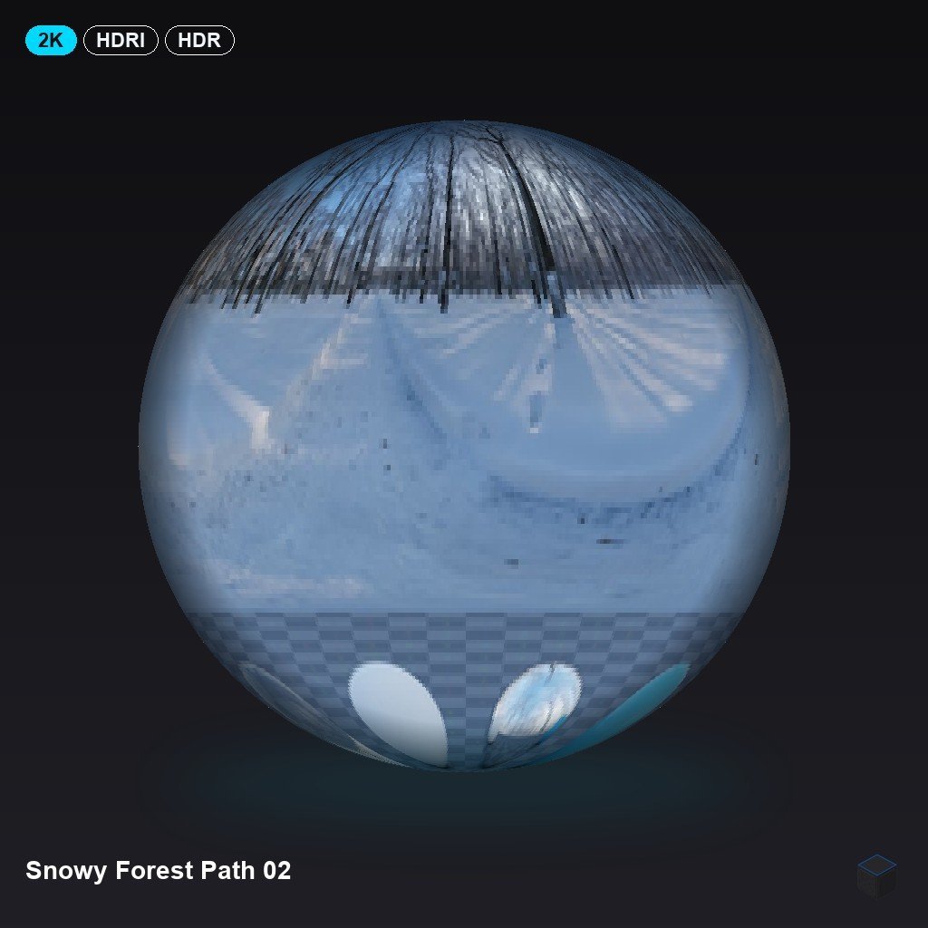 Snowy Forest Path 02