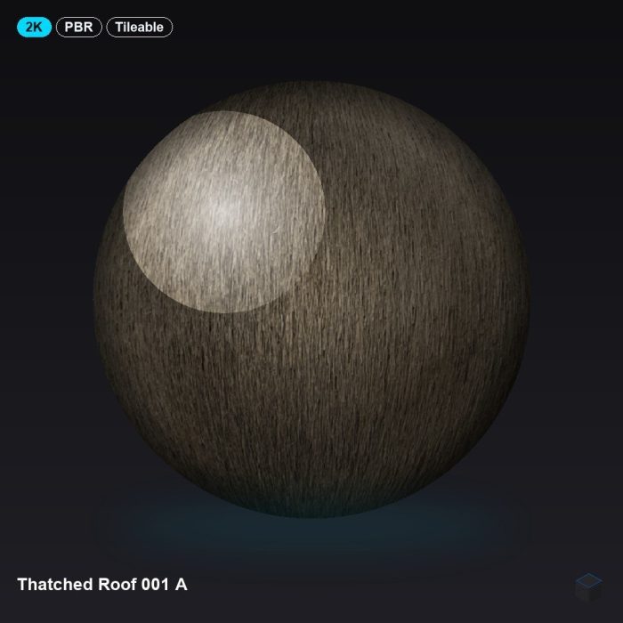 Thatched Roof 001 A