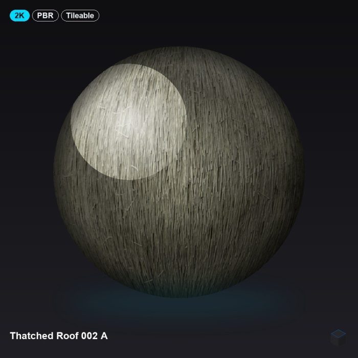Thatched Roof 002 A